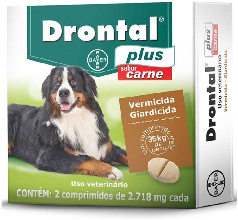 19 Excited Qual O Melhor Perfume Para Cachorro Image HD - cão